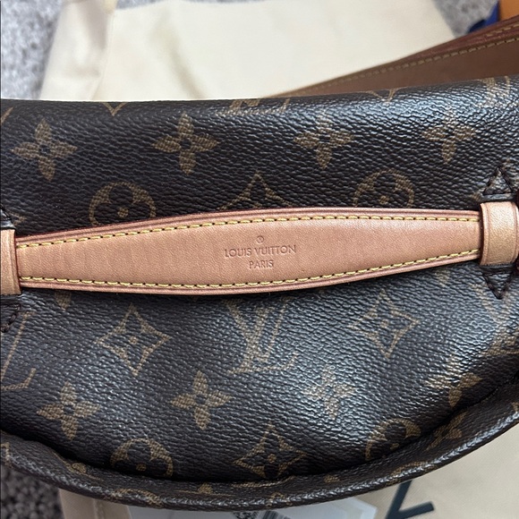 Louis Vuitton Monogram Bum Bag - Picture 7 of 16